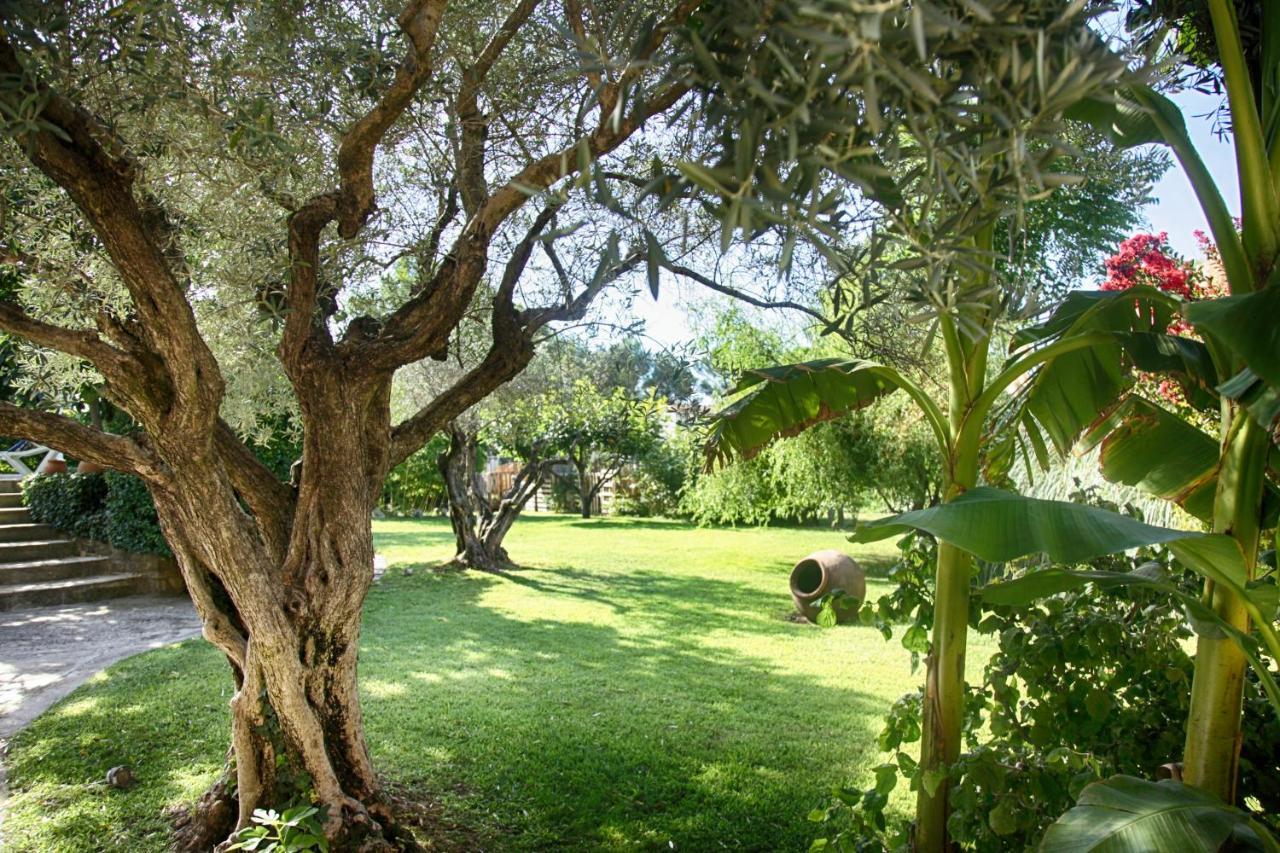 Bed and Breakfast Bastide Sainte Agnès à Carpentras Extérieur photo